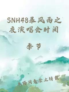 SNH48暴风雨之夜演唱会时间