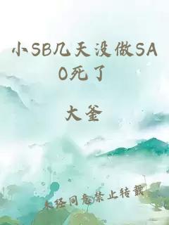 小SB几天没做SAO死了