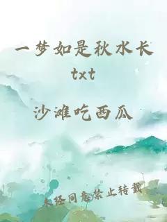 一梦如是秋水长txt