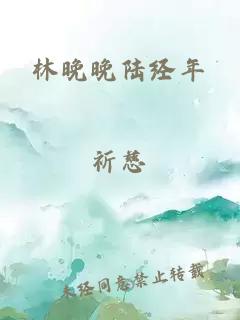 林晚晚陆经年