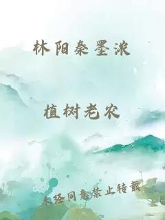 林阳秦墨浓