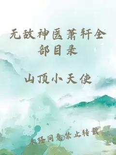 无敌神医萧轩全部目录