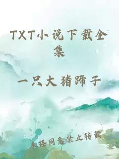 TXT小说下载全集