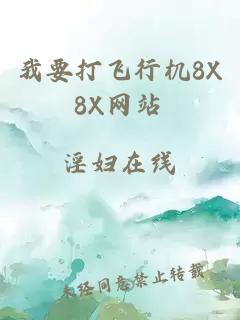 我要打飞行机8X8X网站