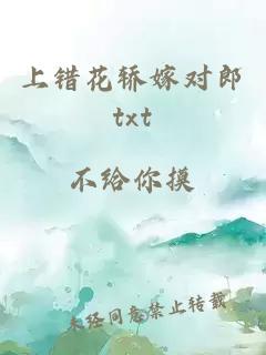 上错花轿嫁对郎txt