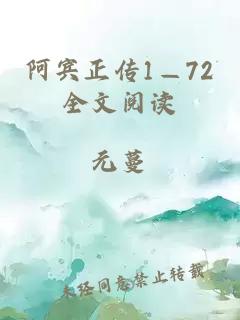 阿宾正传1—72全文阅读