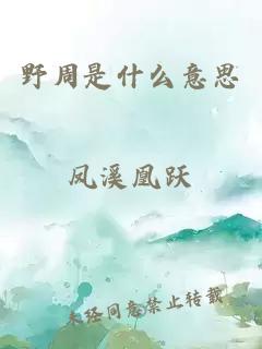 野周是什么意思