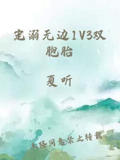 宠溺无边1V3双胞胎