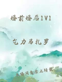 婚前婚后1V1