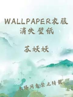 WALLPAPER衣服消失壁纸