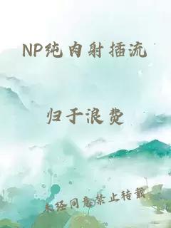 NP纯肉射插流