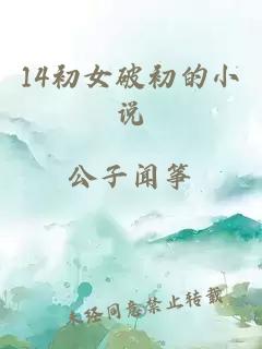 14初女破初的小说