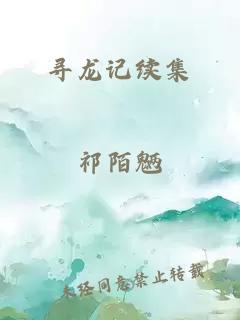 寻龙记续集