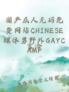 国产成人无码免费网站CHINESE裸体男野外GAYCAMP