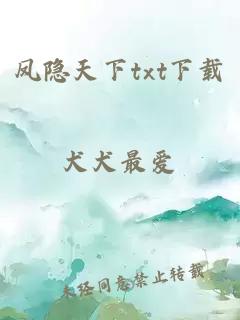 凤隐天下txt下载