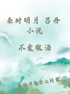 秦时明月 吕丹 小说