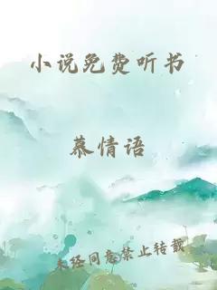 小说免费听书