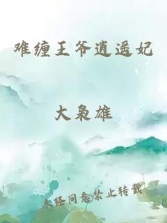 难缠王爷逍遥妃