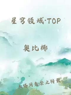 星穹领域·TOP