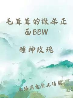 毛茸茸的撤尿正面BBW