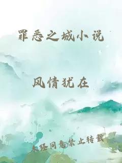 罪恶之城小说