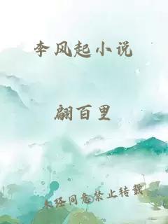 李风起小说