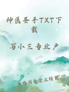 神医圣手TXT下载