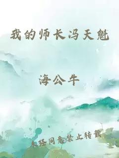 我的师长冯天魁