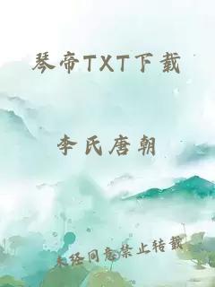 琴帝TXT下载