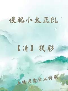 侵犯小太正BL