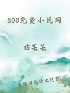 800免费小说网