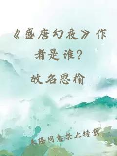 《盛唐幻夜》作者是谁?