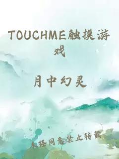 TOUCHME触摸游戏