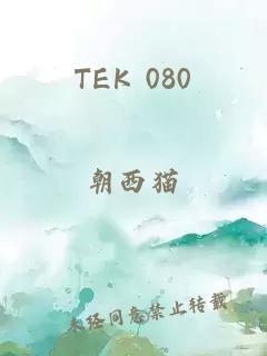 TEK 080