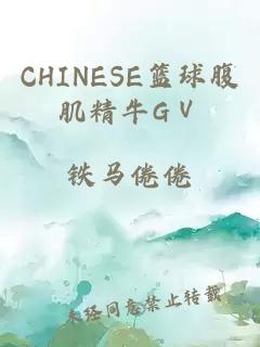 CHINESE篮球腹肌精牛GⅤ