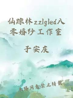 仙踪林zzlgled八零婚纱工作室