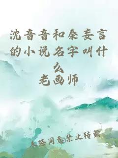 沈音音和秦妄言的小说名字叫什么