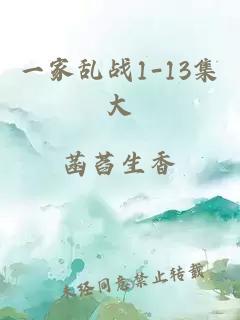 一家乱战1-13集大