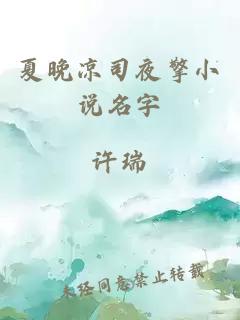 夏晚凉司夜擎小说名字