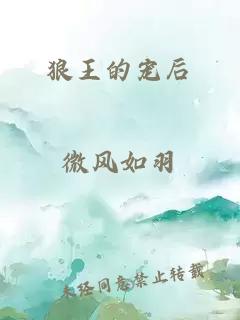 狼王的宠后