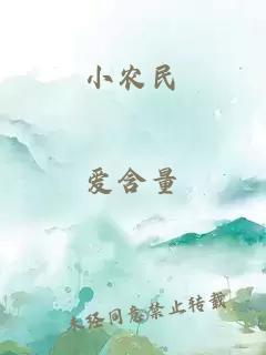 小农民