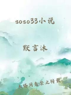 soso33小说