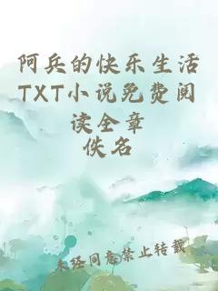 阿兵的快乐生活TXT小说免费阅读全章