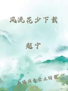 风流花少下载