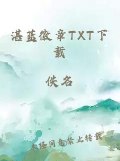 湛蓝徽章TXT下载