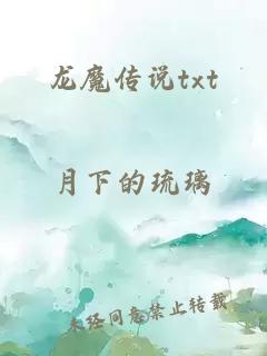 龙魔传说txt