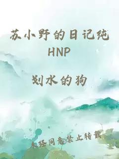 苏小野的日记纯HNP