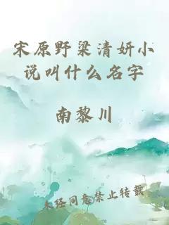 宋原野梁清妍小说叫什么名字