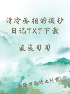 清冷丞相的挨抄日记TXT下载