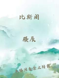 比斯阁